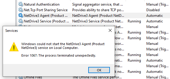 Netdrive Services error